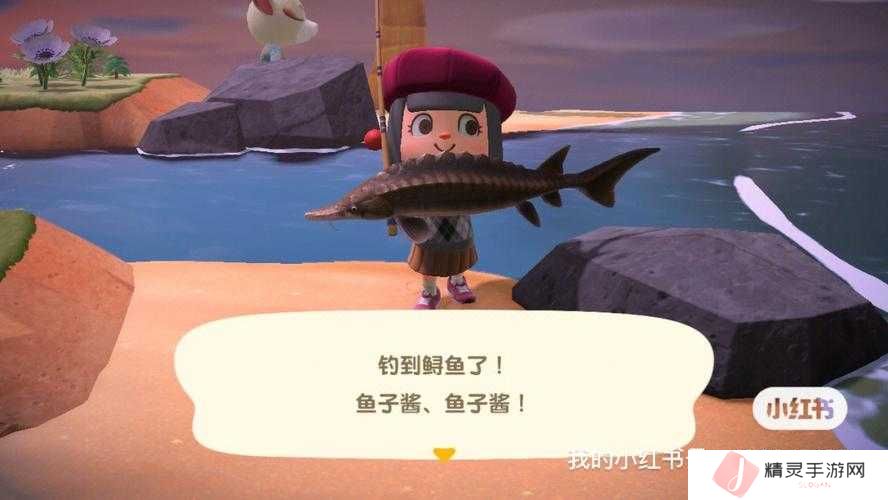 怪物猎人崛起旗鱼钓取位置全攻略