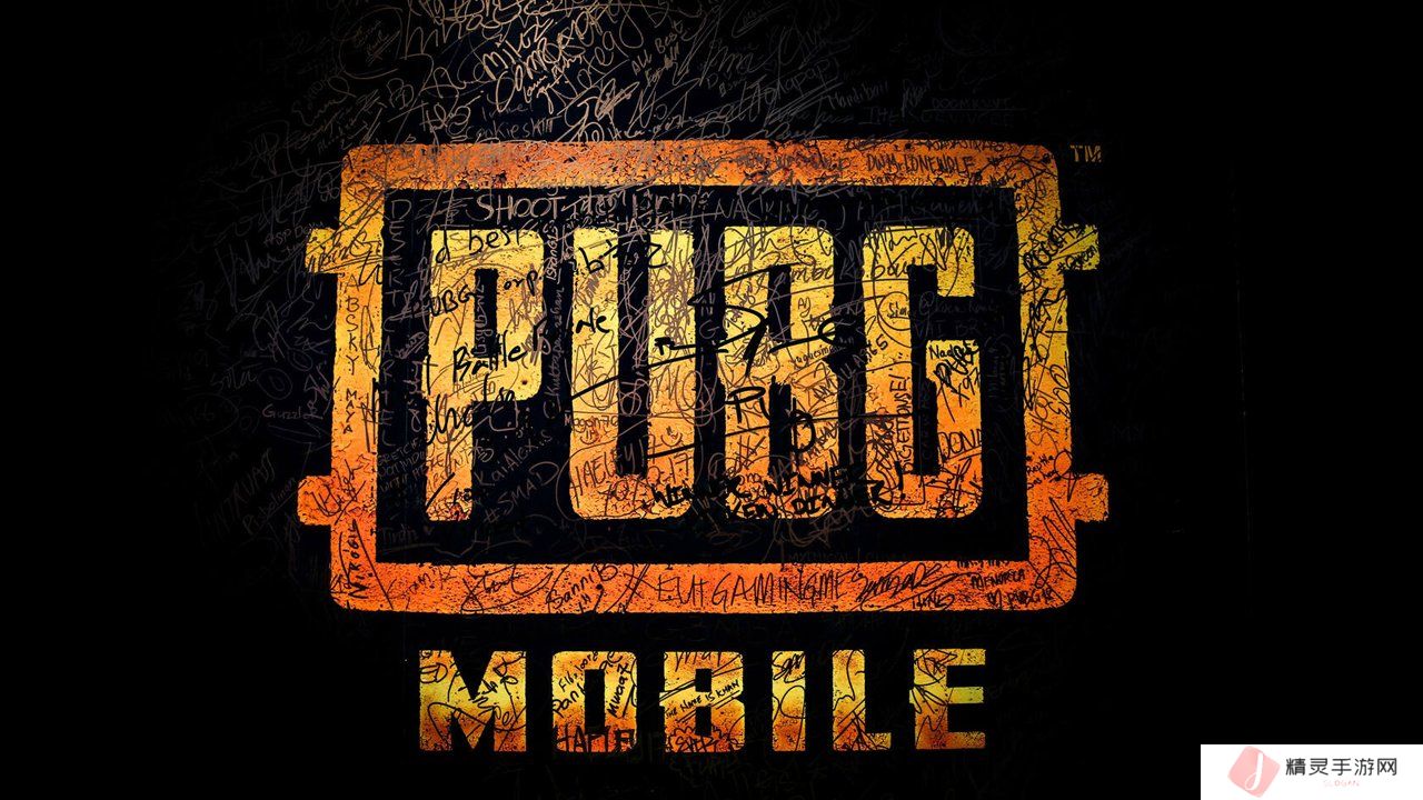 鸣潮白芷声骸武器配队养成全攻略——打造无敌战斗组合