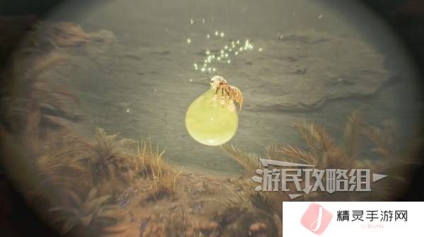 怪物猎人荒野大回复蜜虫位置在哪  大回复蜜虫捕获路线图片5