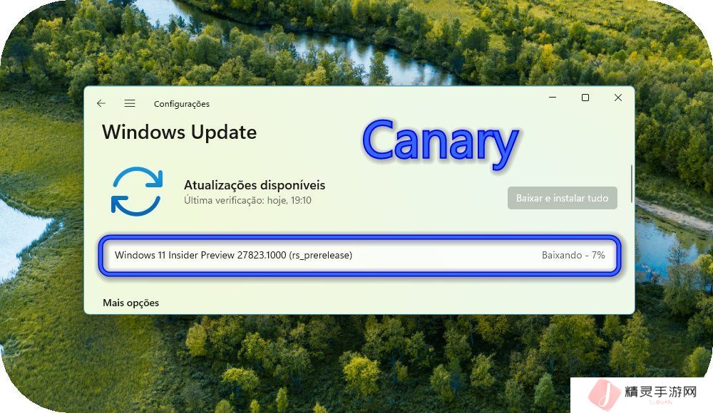 微软 Win11 Canary 27823 预览版发布：设置引入系统信息卡片，修复文件管理器菜单方向错开问题