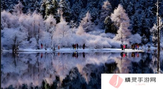 精产国品与一区二区的区别解析：如何选择最适合你的产品