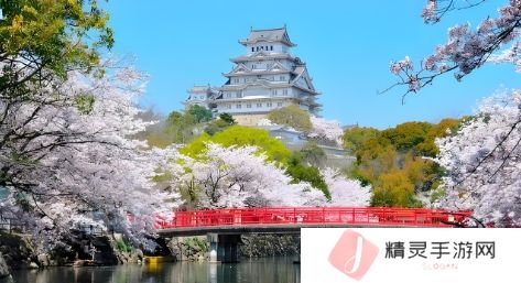 妈妈让儿子戴避孕套的原因：探讨性教育与健康意识的重要性