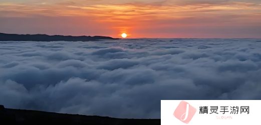 深入了解77777视频二：多样内容与优质体验的完美结合