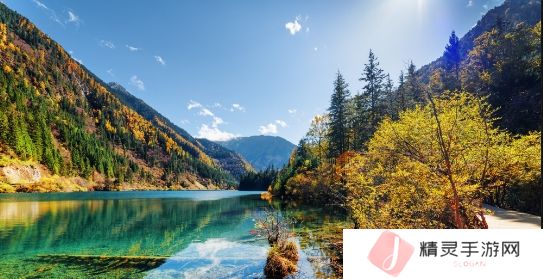 满十八岁看的免费观看电视剧网站：畅享海量剧集，轻松追剧无烦恼