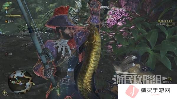 怪物猎人荒野黄金鱼怎么钓    钓黄金鱼位置一览图片6
