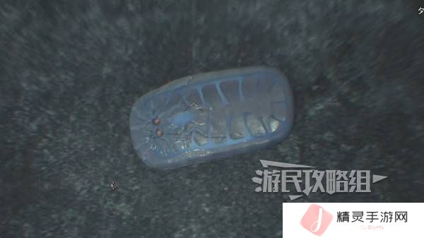 怪物猎人荒野大虚无动在哪捕获    大虚无动捕获攻略图片8
