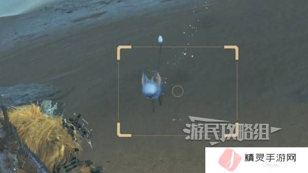 怪物猎人荒野沙野流星位置在哪   沙野流星位置