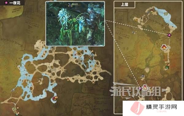 怪物猎人荒野一夜花的月华粉位置及获取途径一览图片4