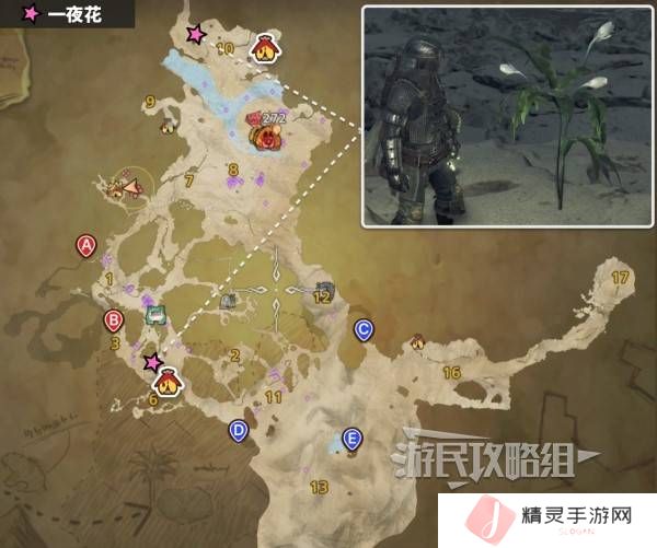 怪物猎人荒野一夜花的月华粉位置及获取途径一览图片3