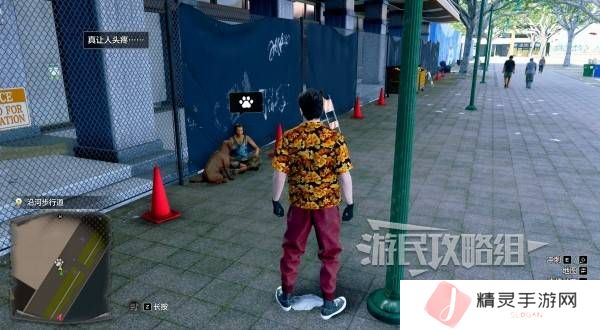 如龙8外传救护动物位置总汇   救护动物食材盘点图片8