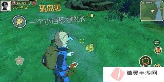 小森生活金色羽毛作用是什么，全面攻略指南
