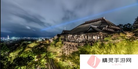 揭示人、狗与猪DNA之间的关系：探索生命的共同密码