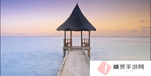 “人一禽一伦一精一品”：揭示人与自然、伦理与价值的深刻比喻