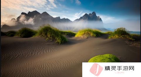 中文免费资源大揭秘：如何高效获取知识与学习材料