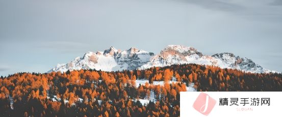 警花雪白浑圆：探讨女性警察的魅力与职业价值