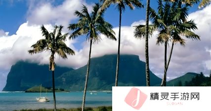 初二馒头：传统与创新交融的美食之旅