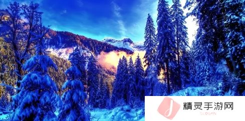 60多岁老阿姨电视剧：探索生活智慧与幽默的魅力