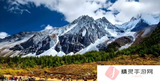 普通Y31与成色好的Y31：深度解析二者区别与购车价值