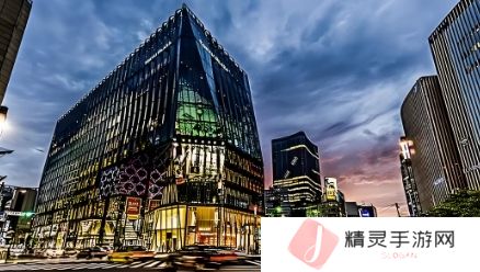 适合二年级观看的电视剧推荐：寓教于乐的精彩选择