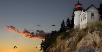 黄金网站9.1免费：探寻优质资源平台的无限可能性