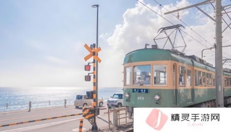 在姨妈母家的客厅：温馨与幸福交织的家居体验